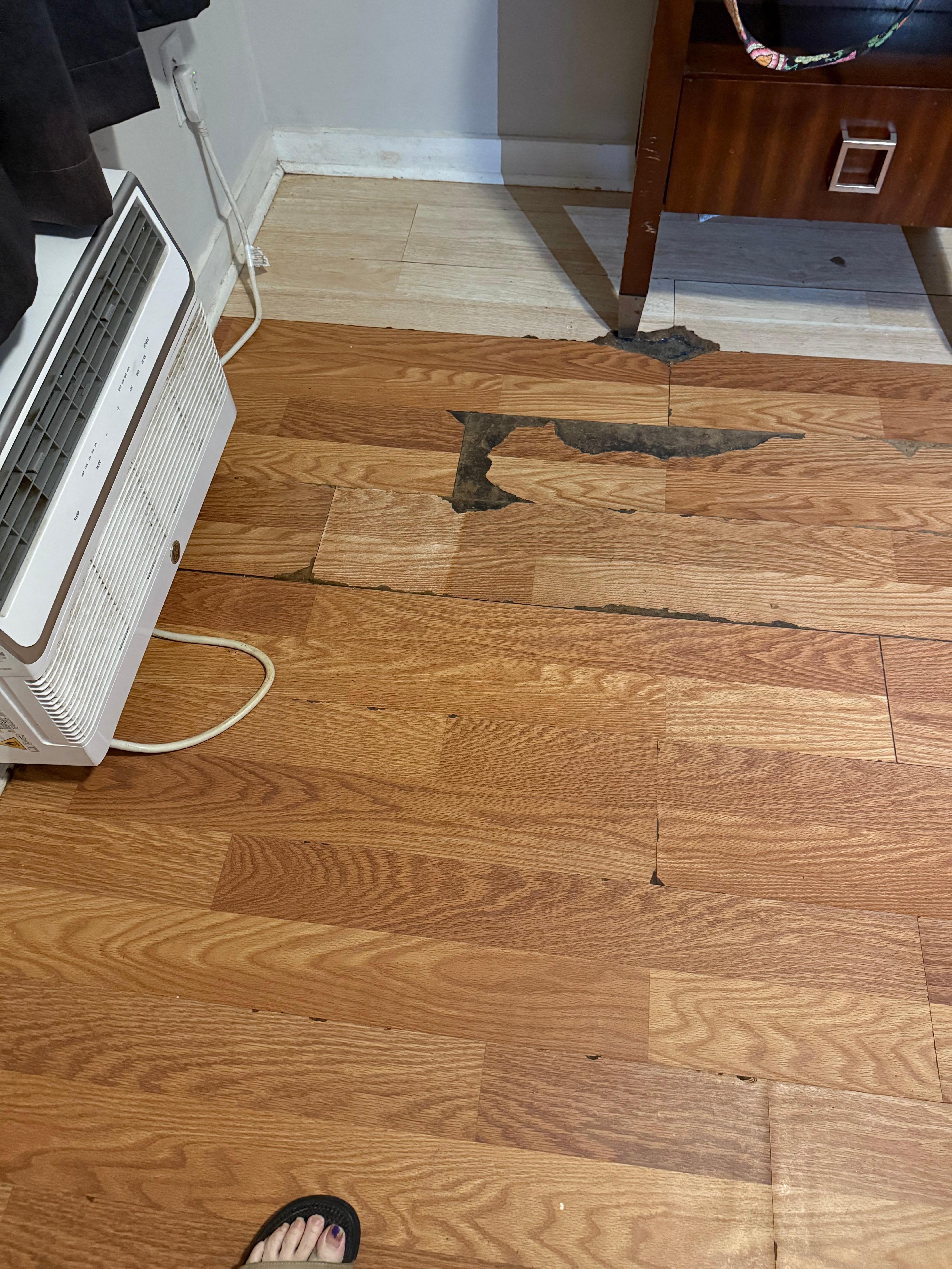 Damaged flooring 