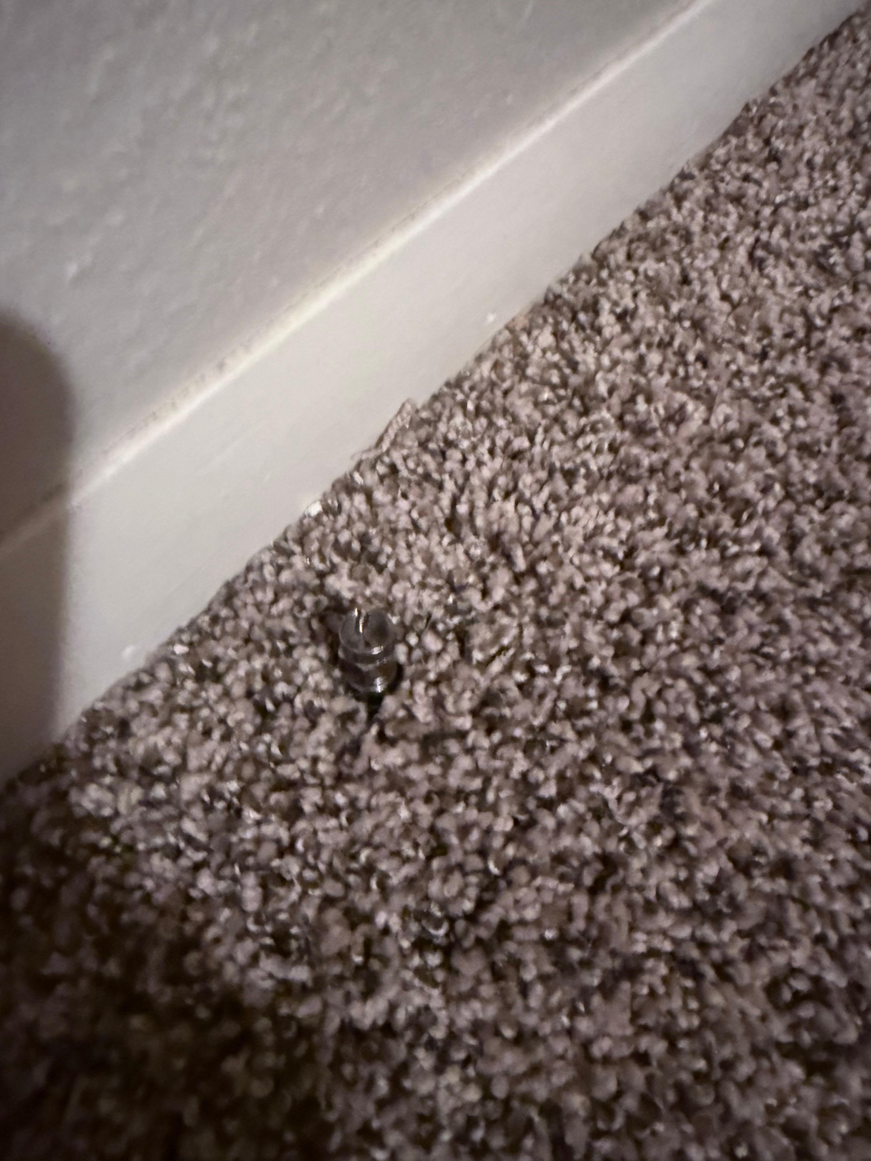 A cable cord sticking up in the bunk bedroom through the carpet. If someone stepped on it, it would stab them. 