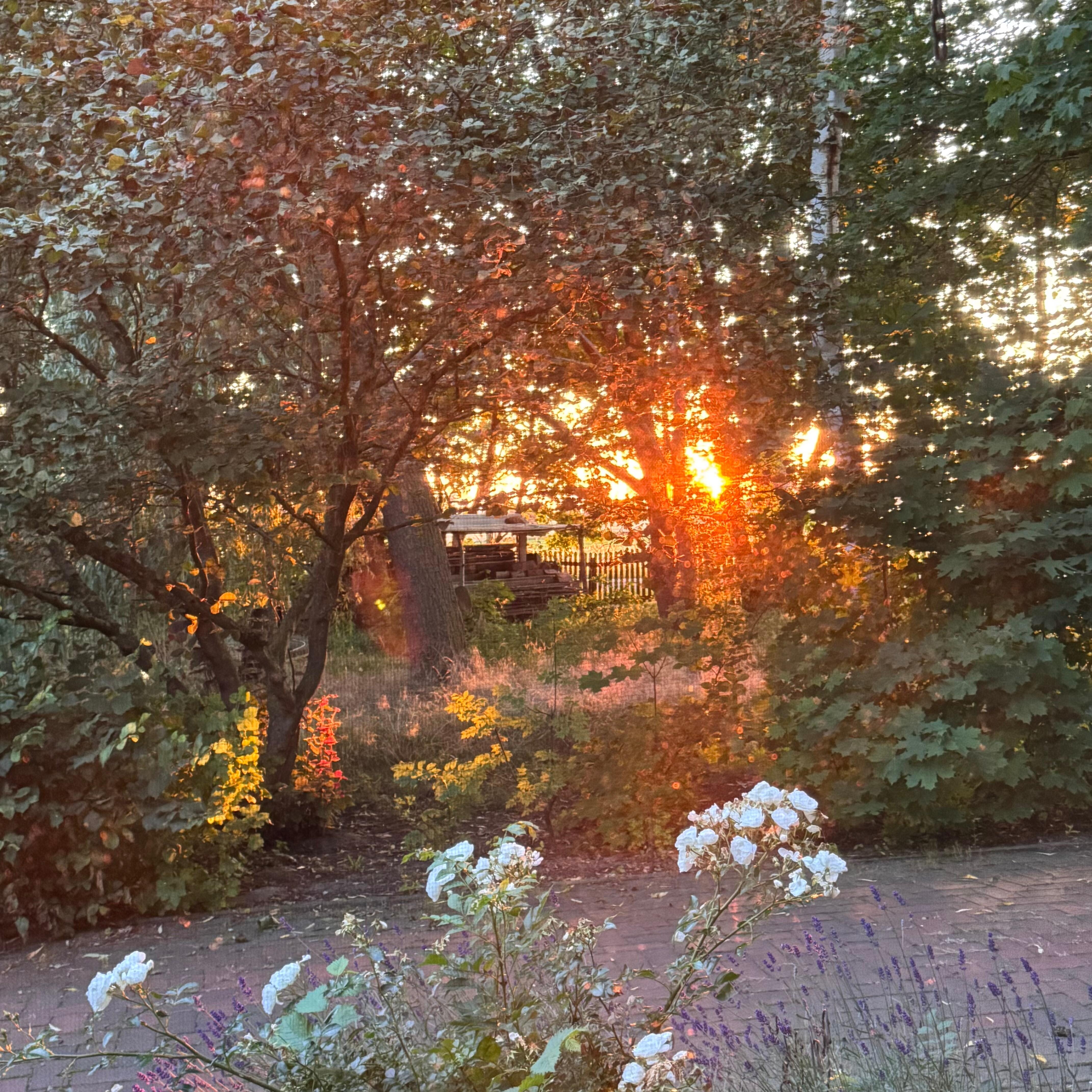 Blick aus dem Schlafzimmer