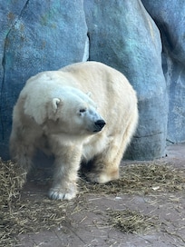 Toronto zoo
