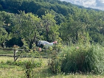 Le jardin
