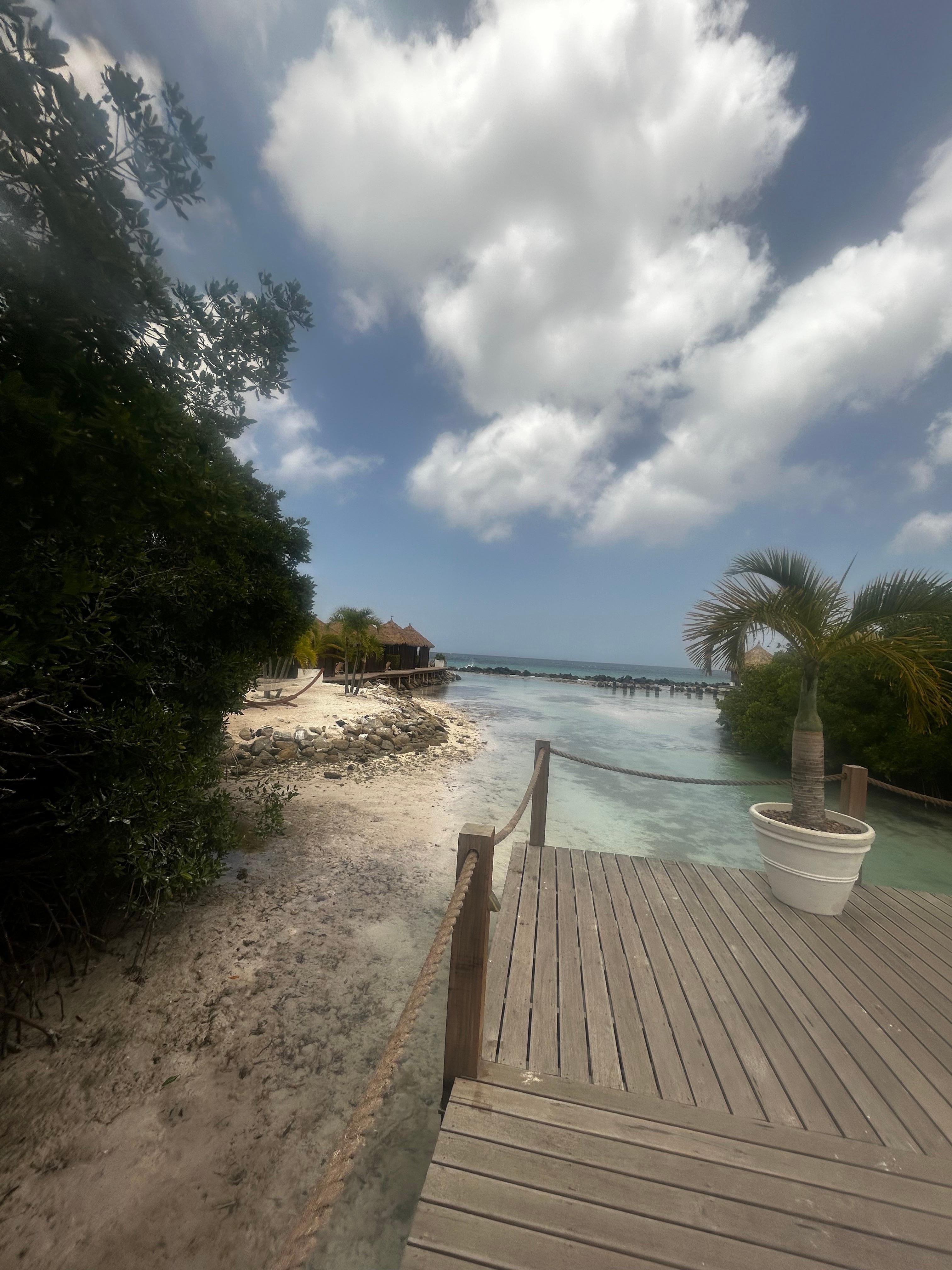 Flamingo Beach