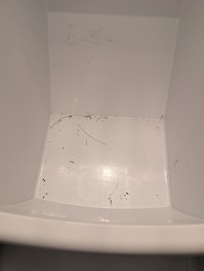 bottom tray in freezer had dirt in it