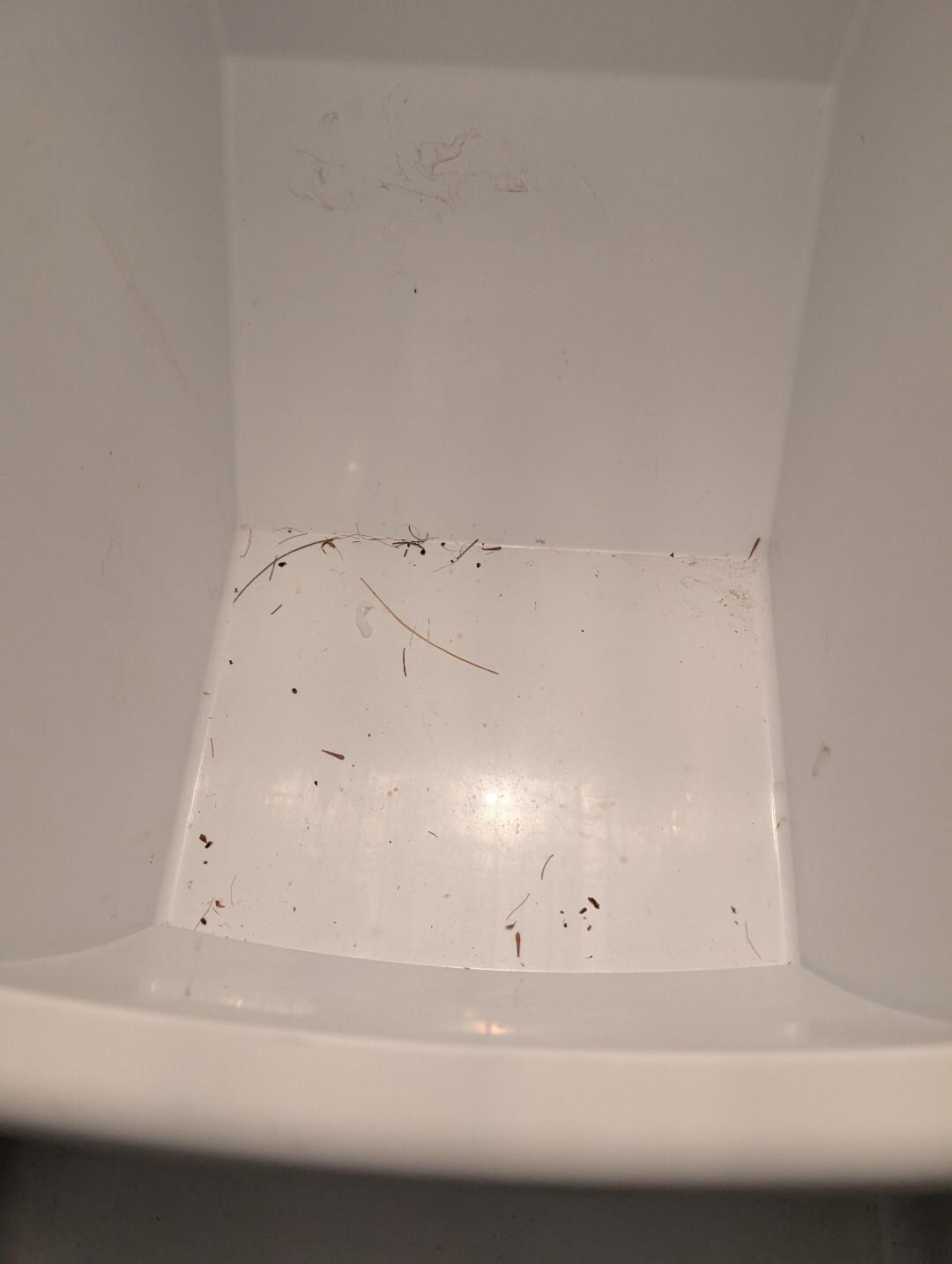 bottom tray in freezer had dirt in it