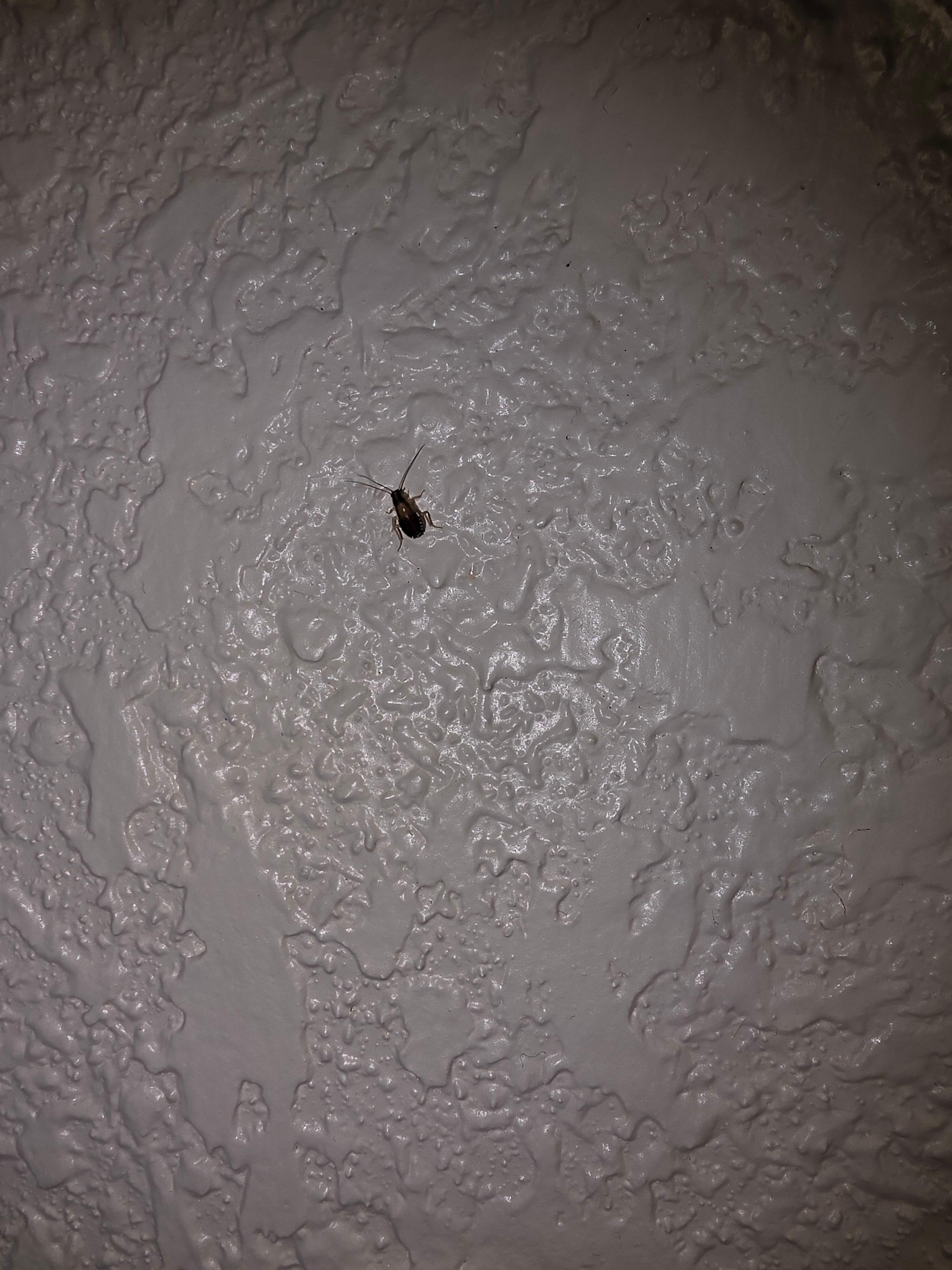 On the wall