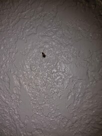 On the wall