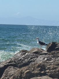 A short stroll to a breakwater.