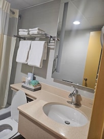 Sink and counter over toilet tank