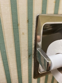 Mold and possible fecal staining around toilet paper holder