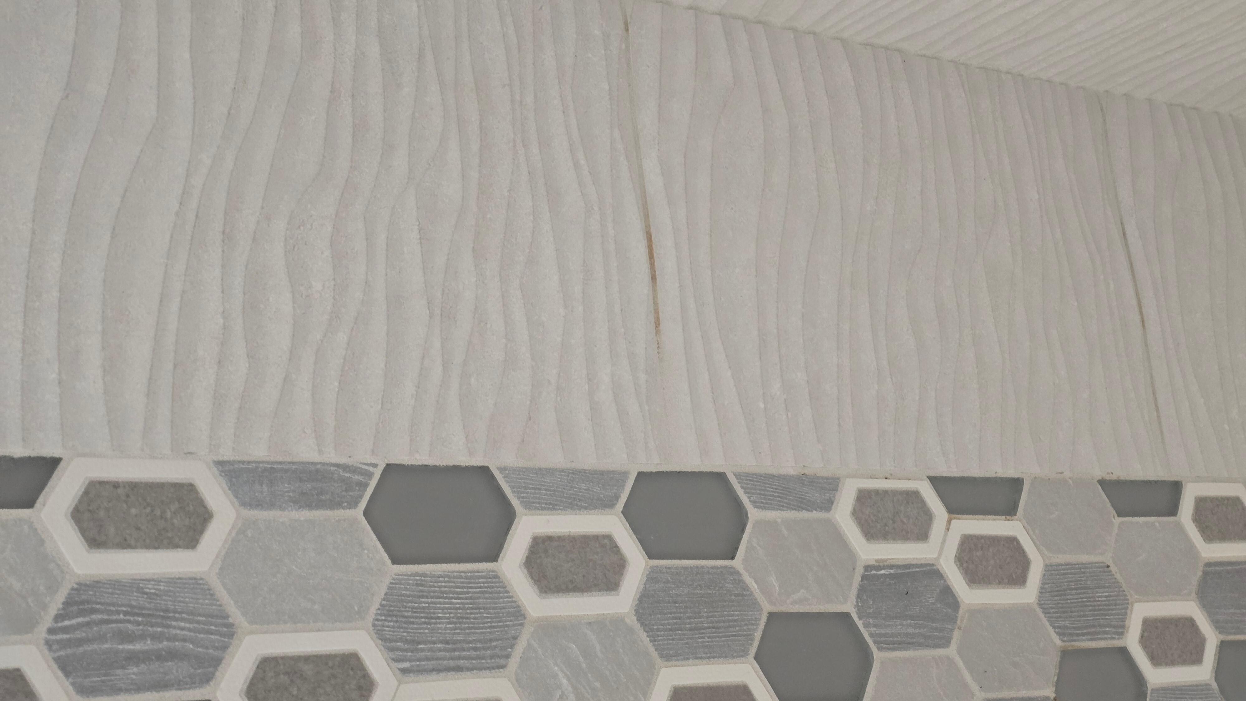 Mold and mildew in the shower