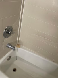 Shower wall with big crack and gash in it. Plumbing fixtures rusty.