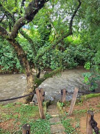 Área verde tem redes e bancos para descansar.