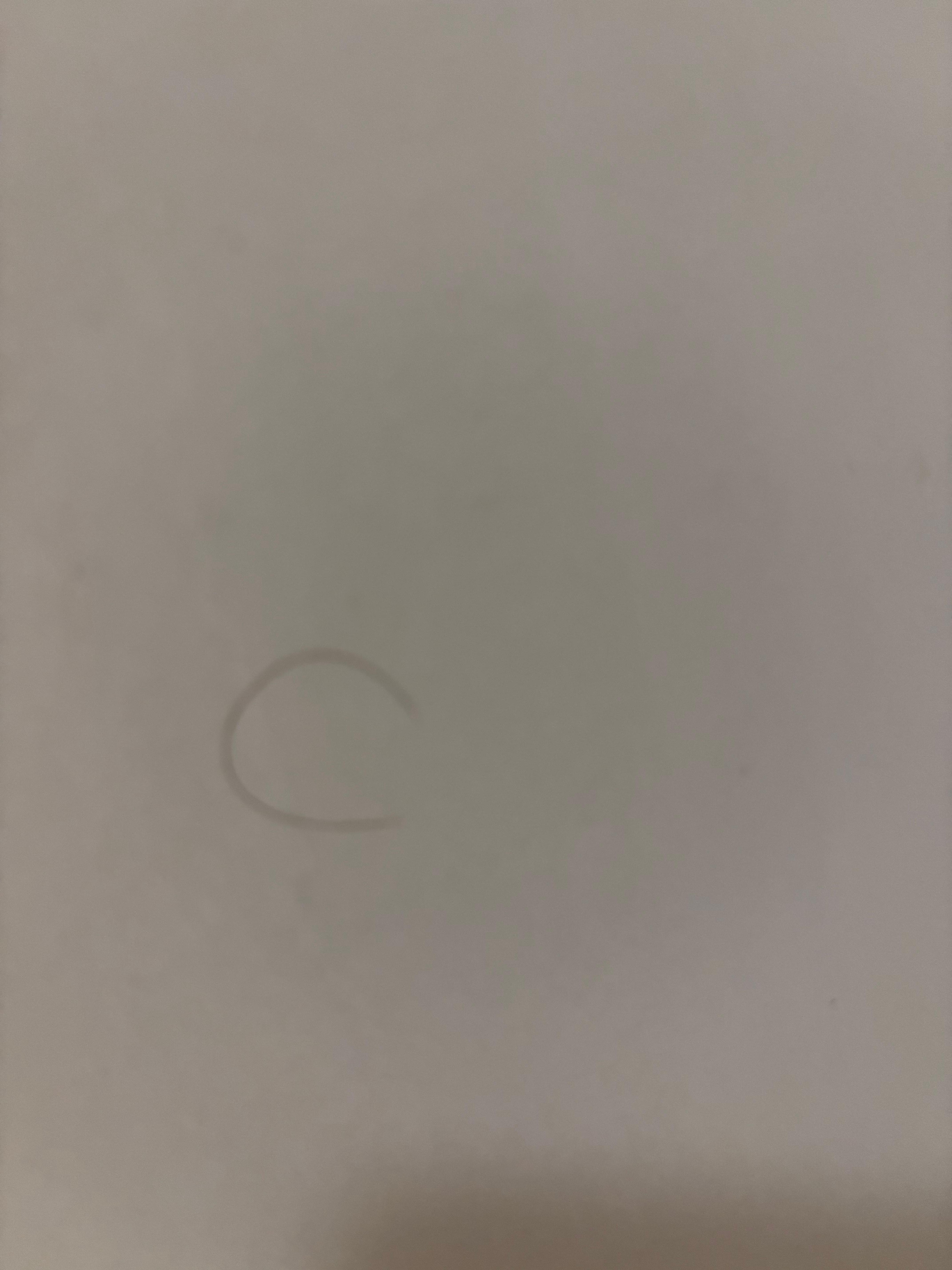 Pubic hair