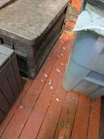 My husband had already picked up most of the trash when I thought to take a picture
