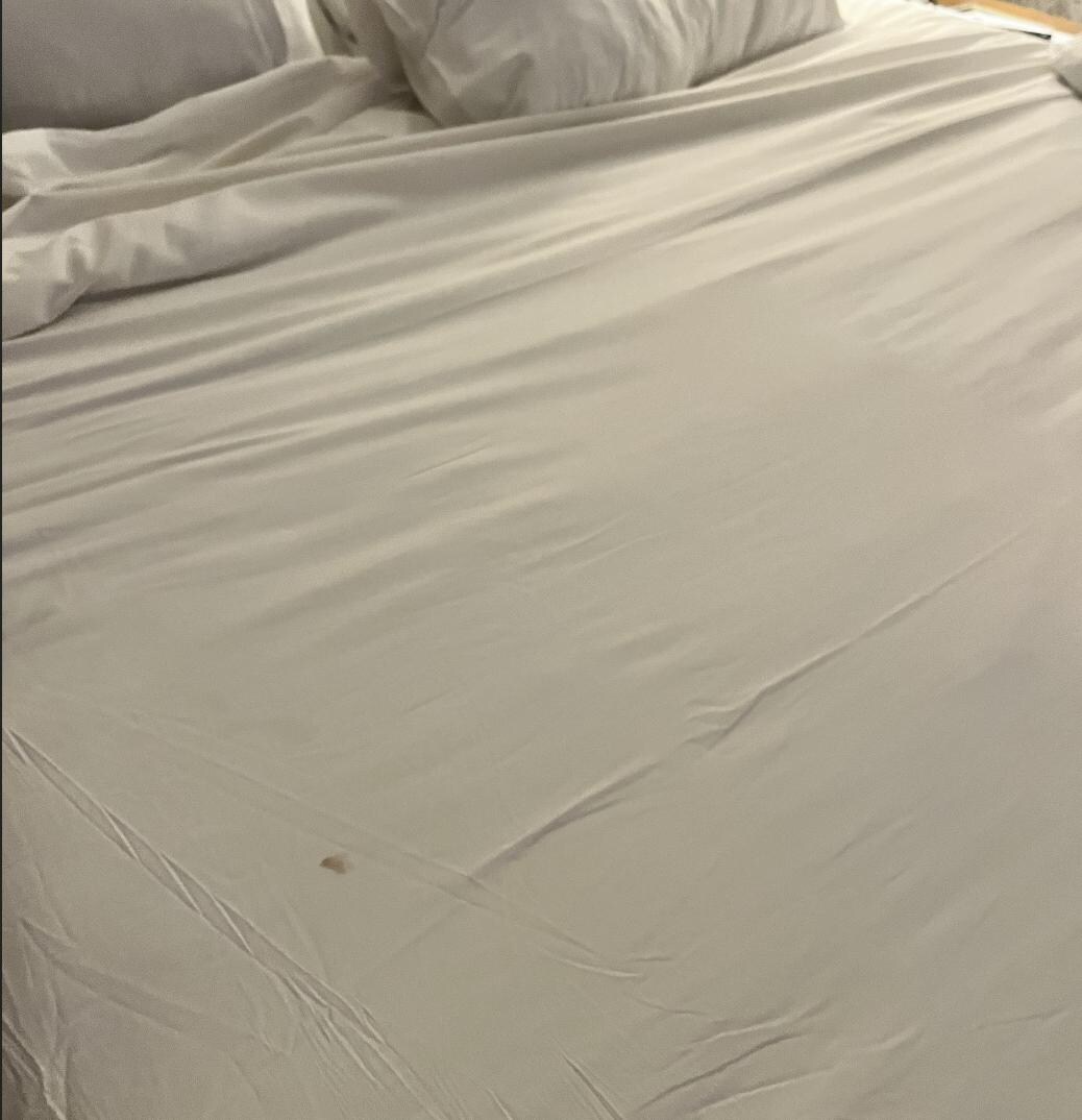 Visible brown stain on sheet