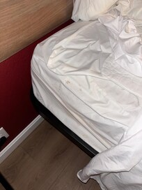 Red spotting on bedspread