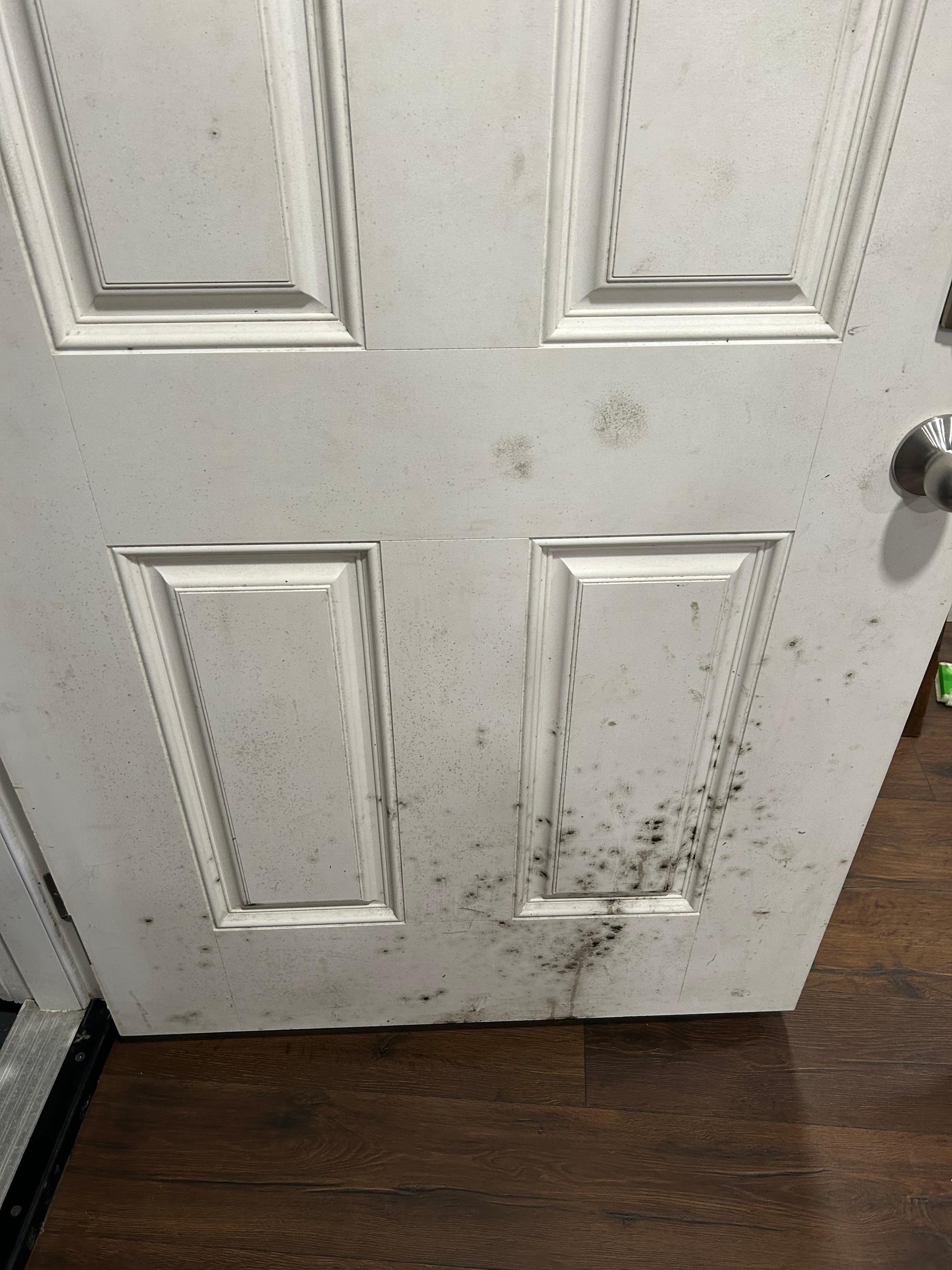 Moldy door