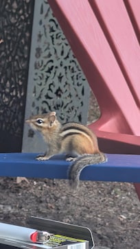 These guys will come visit you at the fire! Also they will check out your recycling, just making sure you're sorting properly!