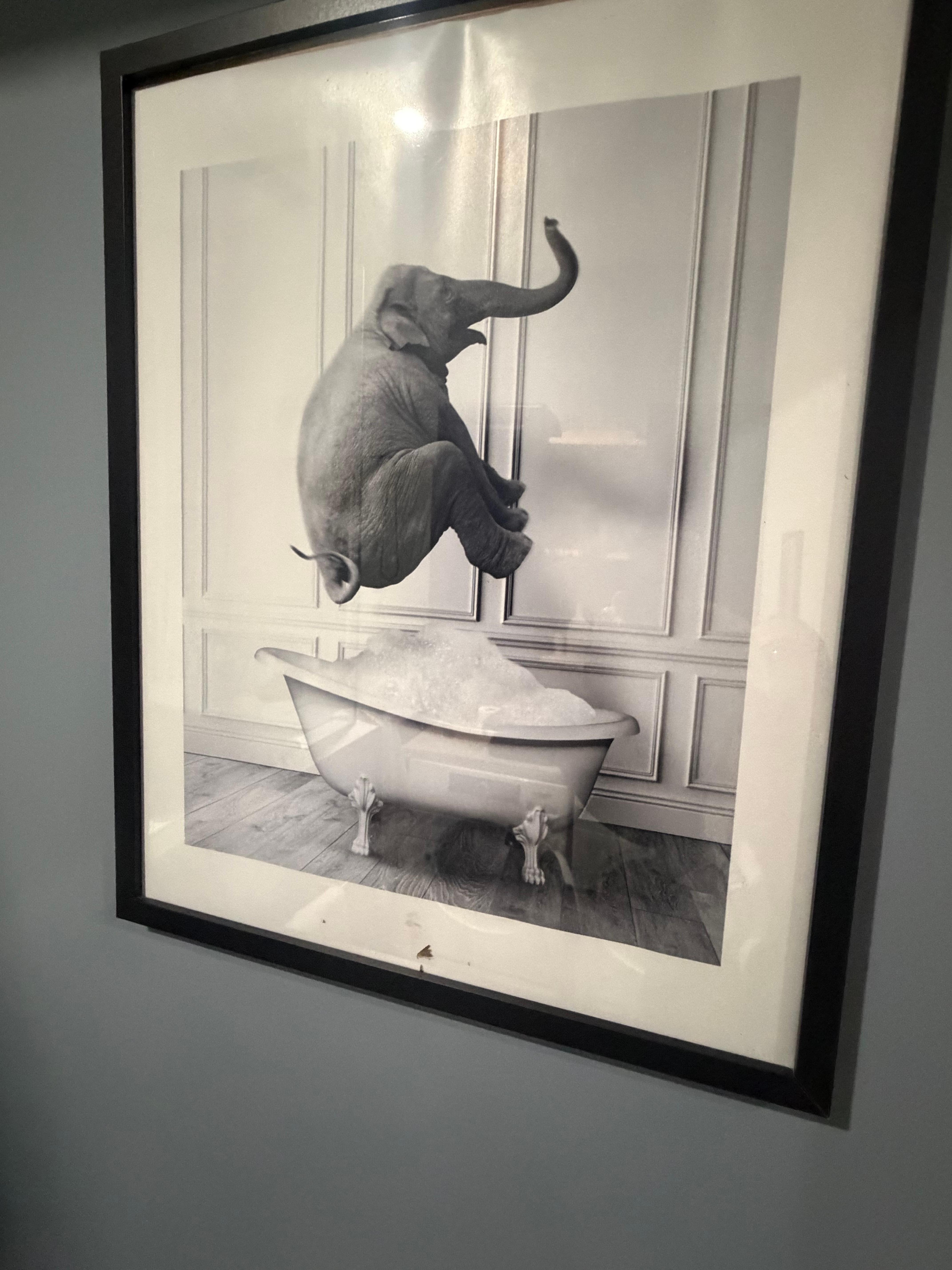 Outdoor window in kitchen area