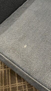 Stains/bodily fluids on couch