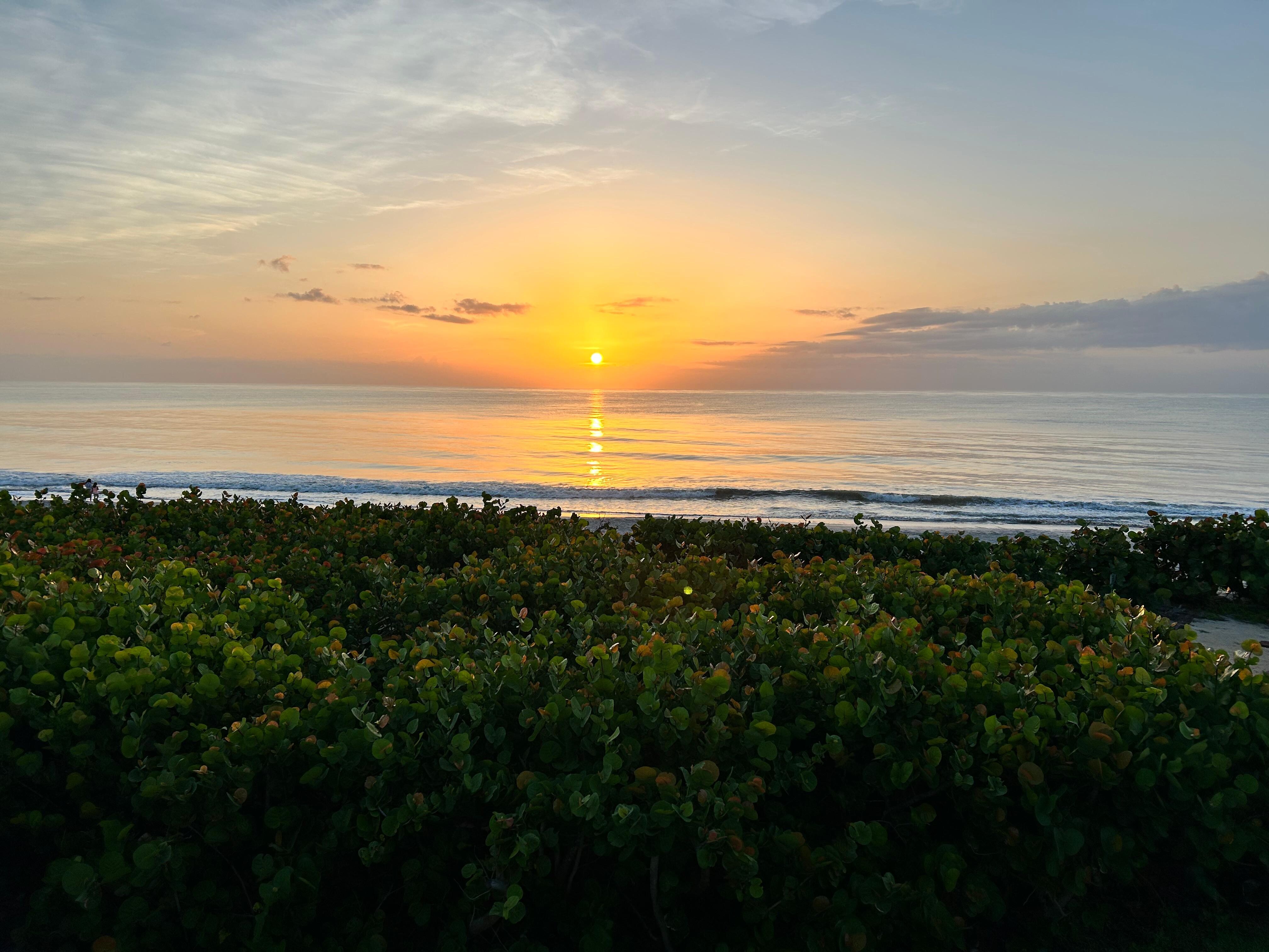 Sunrise