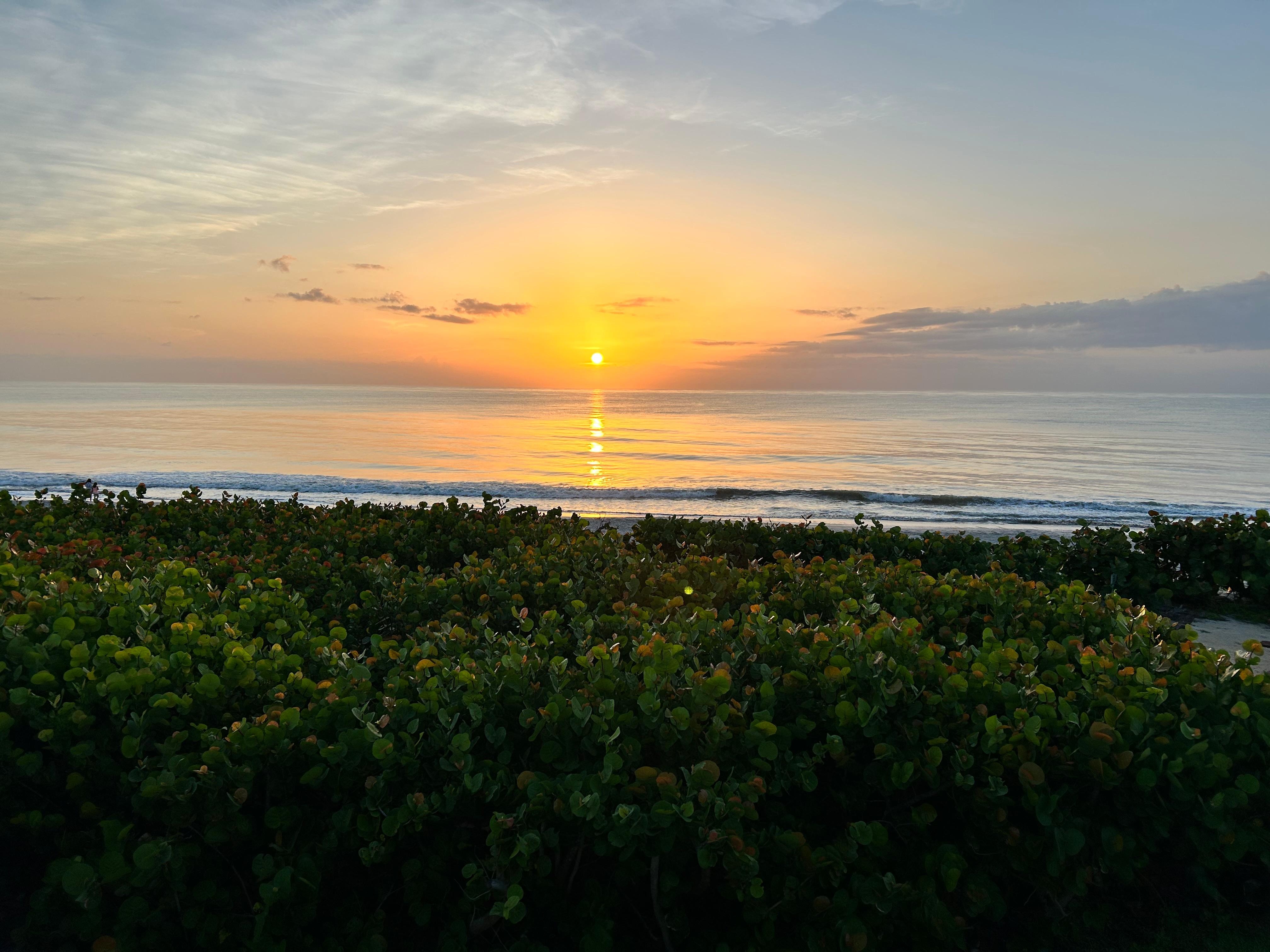 Sunrise