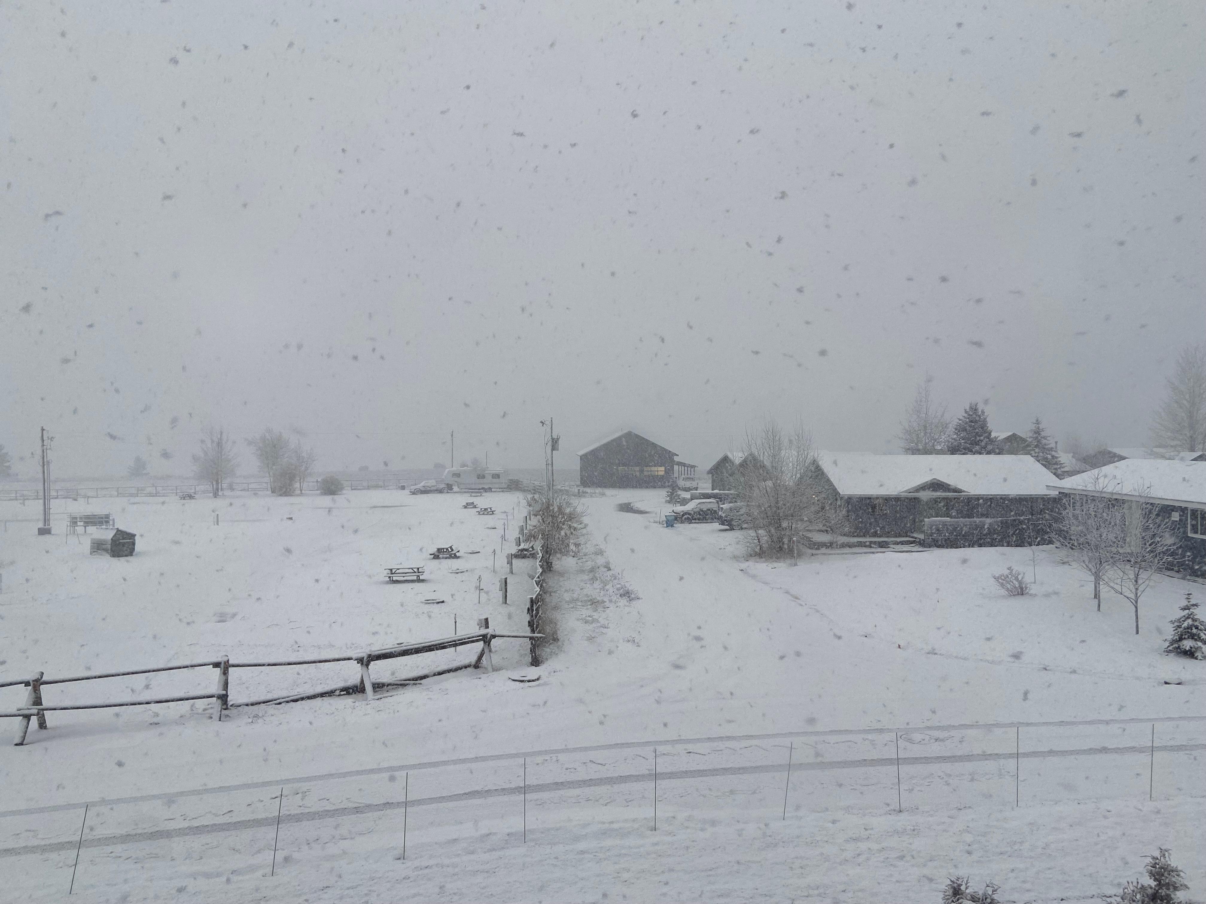 Snowy view from my hotel room 