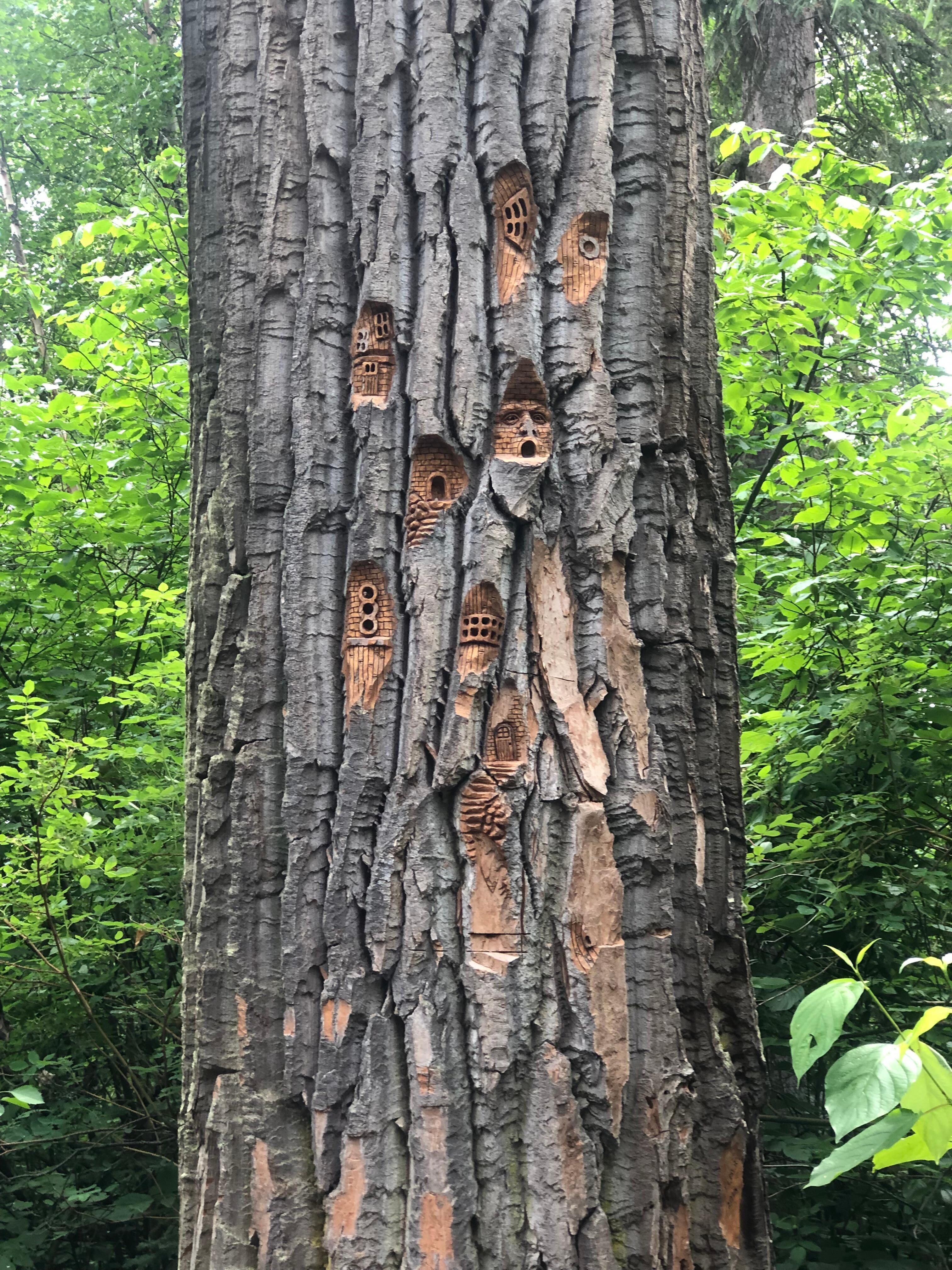 Cottonwood park wood carvings