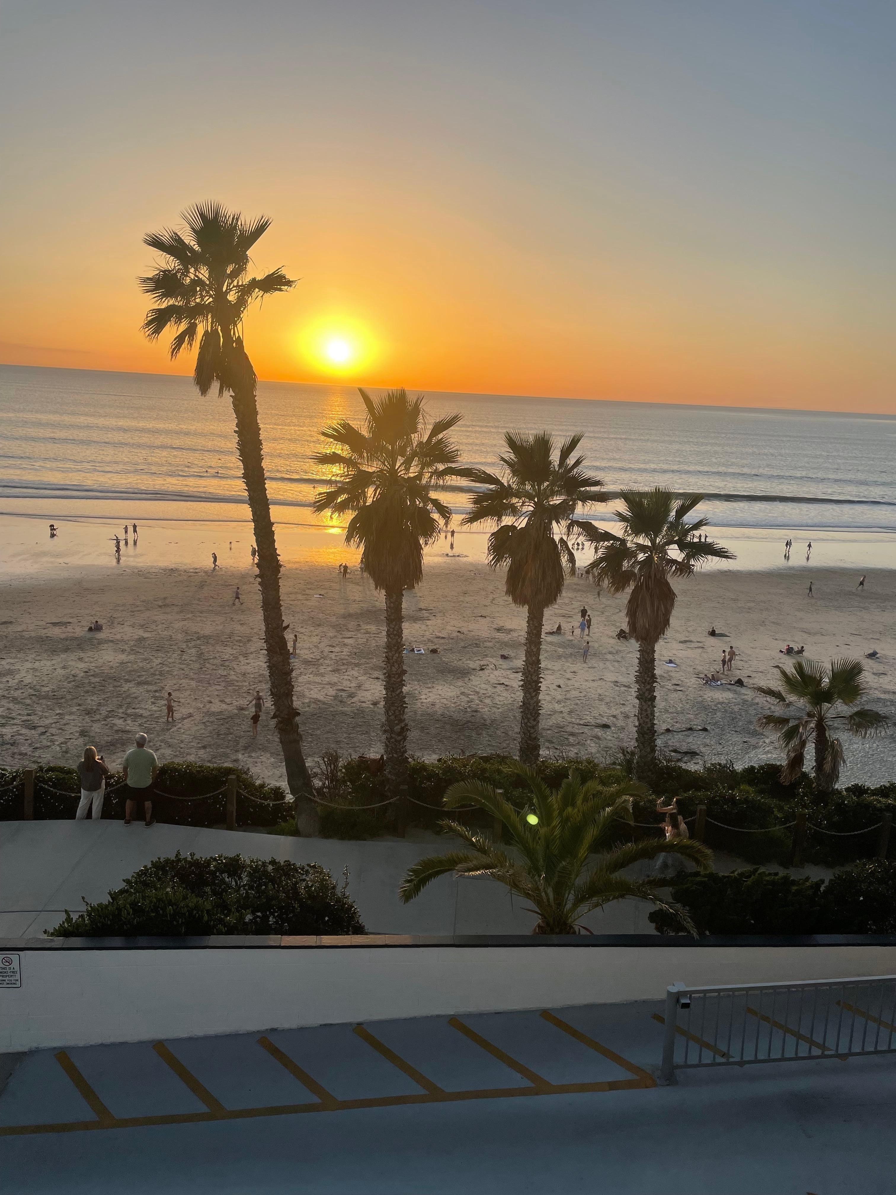 View from the living area. 