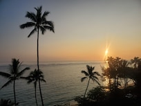 Off the baloney đ beautiful morning sunrise