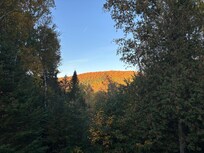 Our morning coffee view