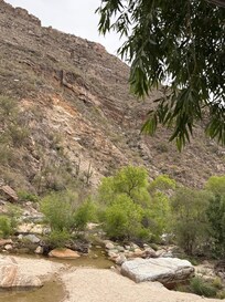 Sabino Canyon