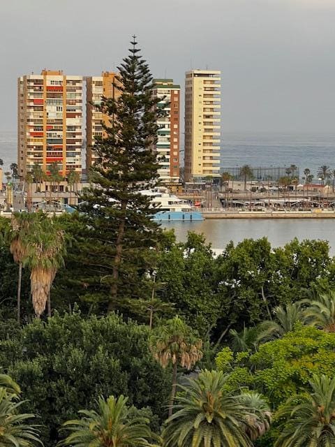 View from hotel 