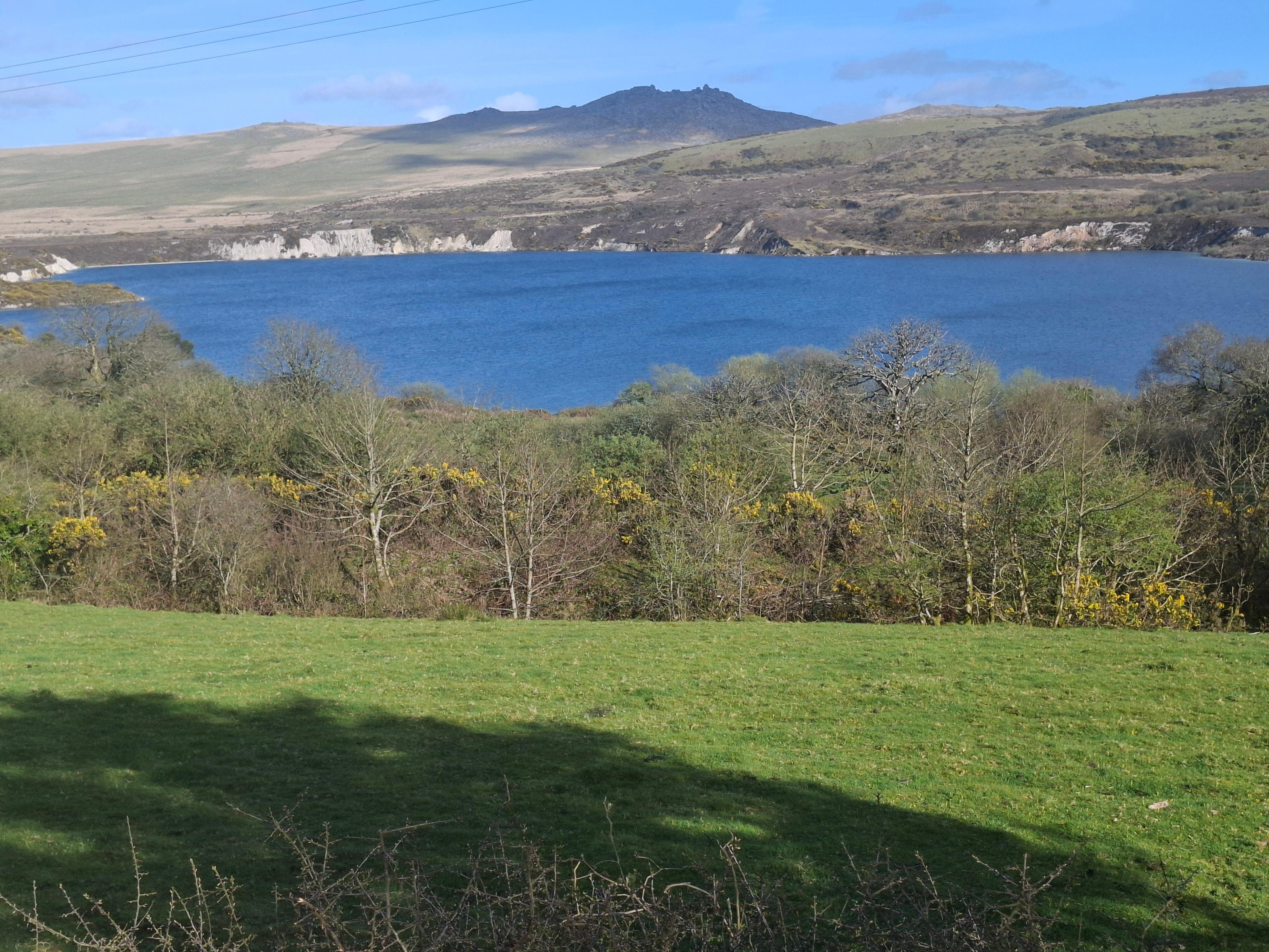 View from rear of cottage 