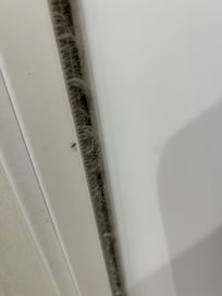 Spent the first hour of arrival killing bugs.