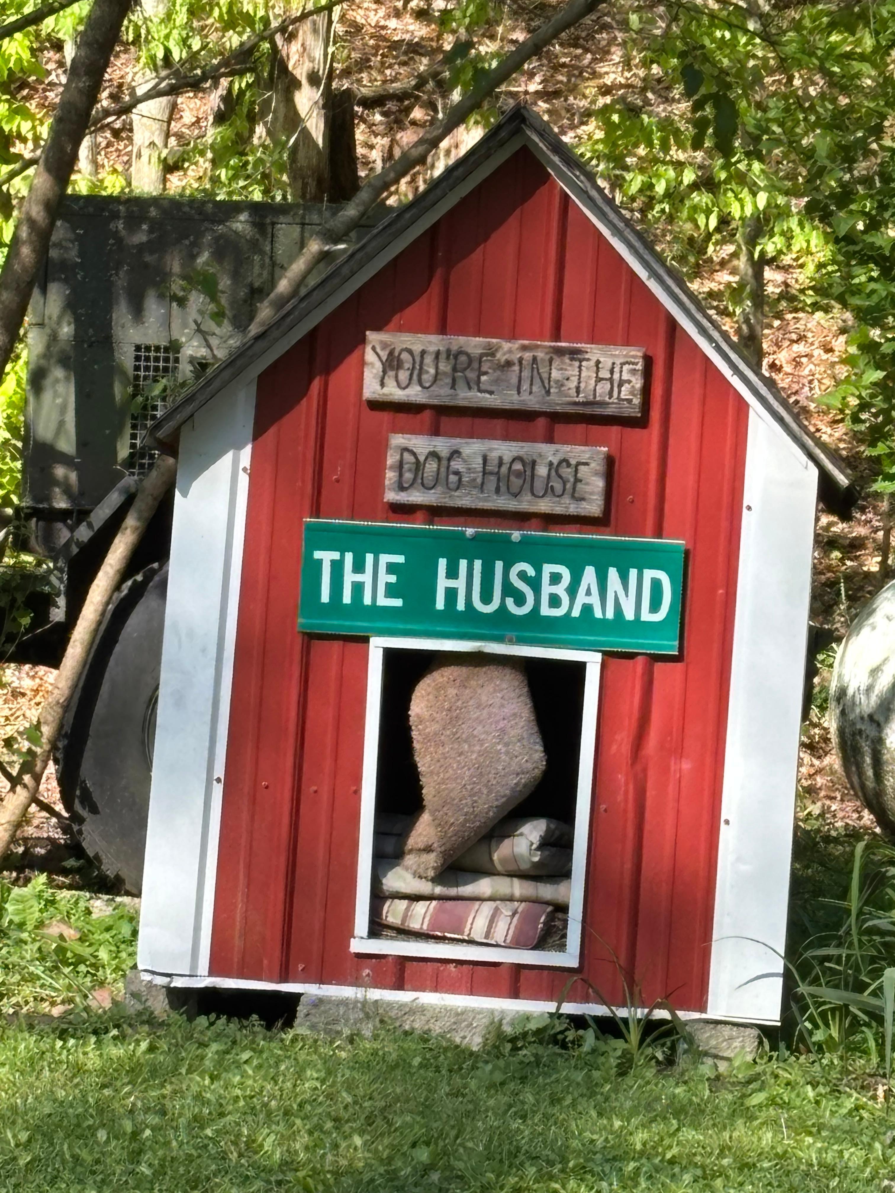 Near the back porch