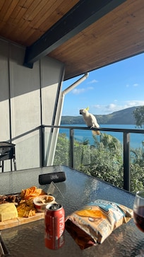 The local cockatoo, we named him Drake.