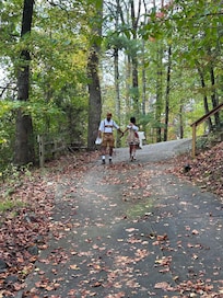 The driveway up and down...