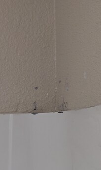Mold in the bathroom