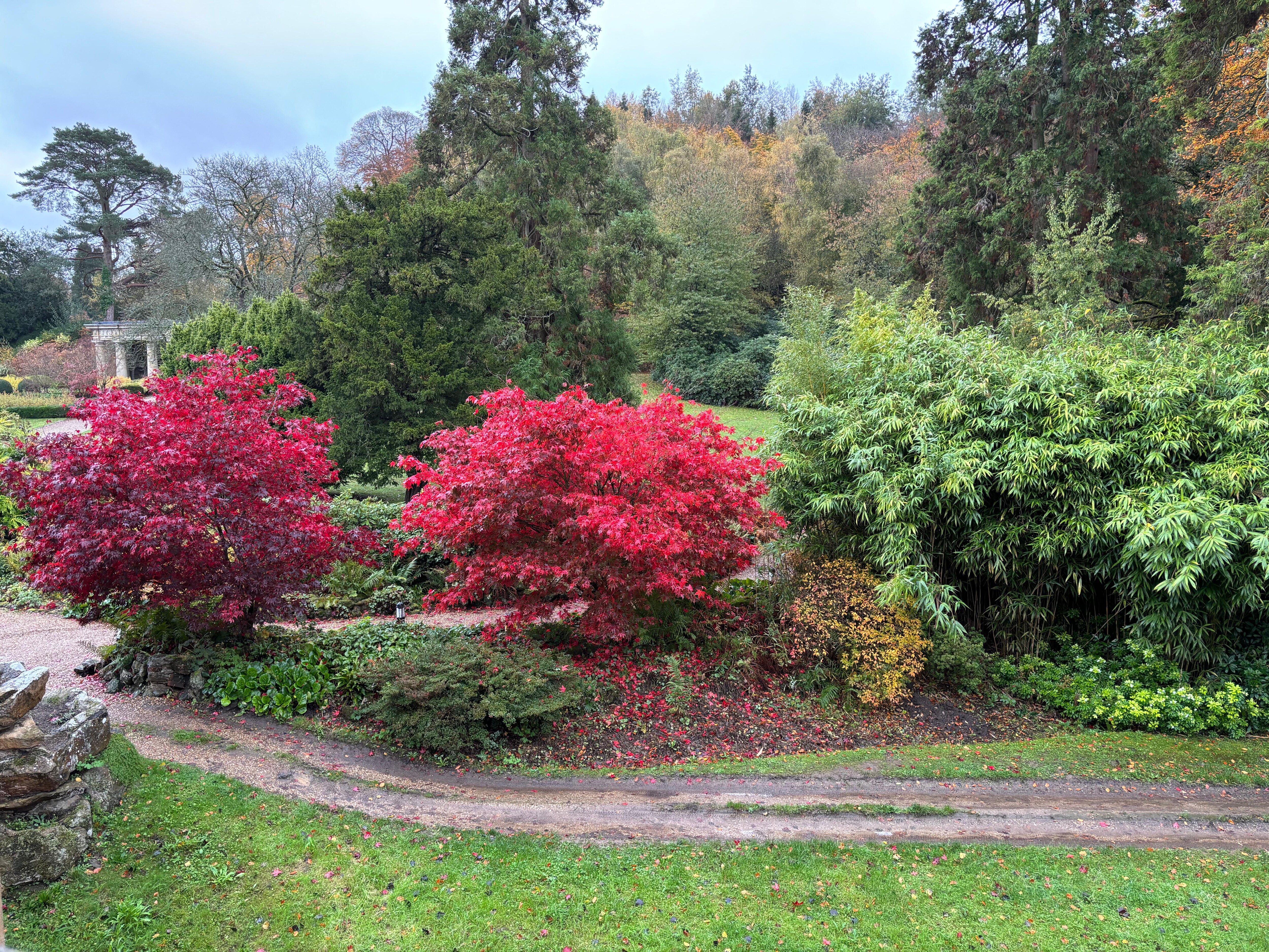 Beautiful garden view 