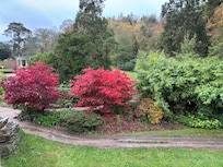 Beautiful garden view