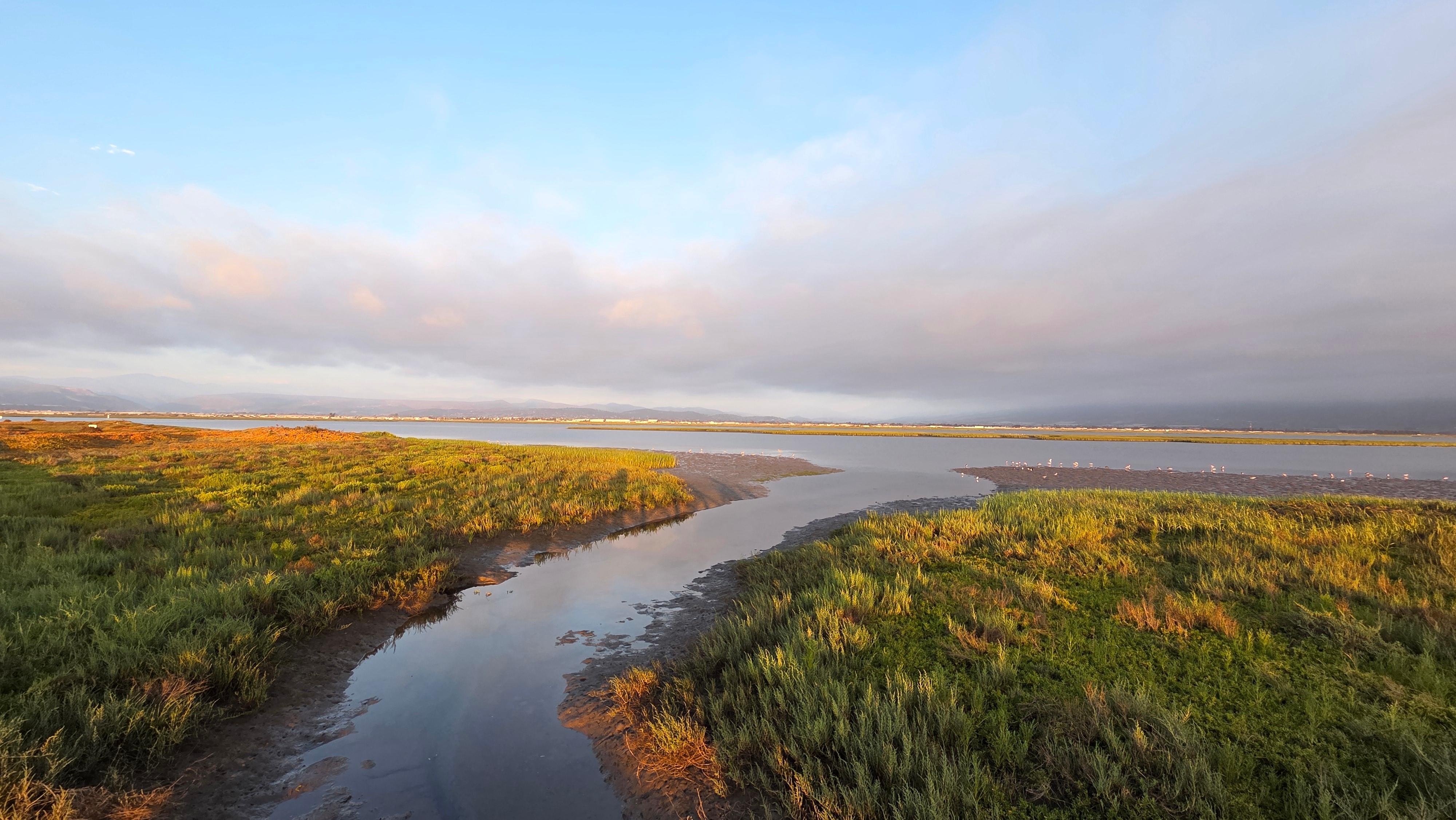 The estuary is amazing!