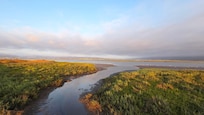 The estuary is amazing!