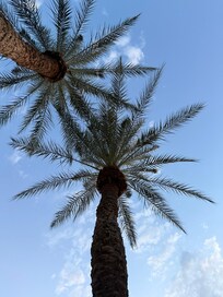 capture some nice shots
