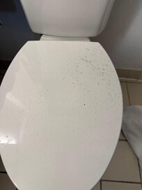 Leaking ceiling over our toilet.