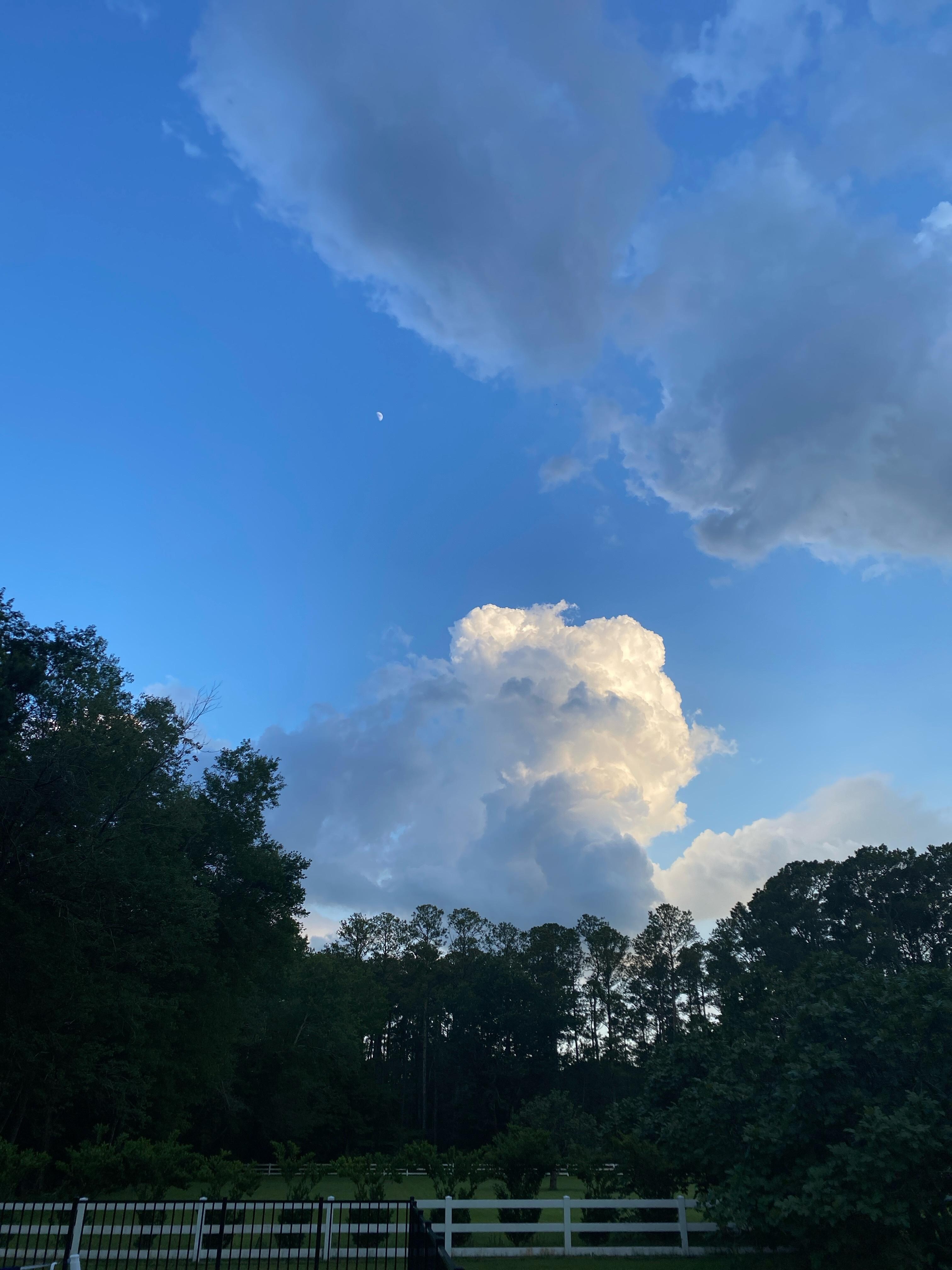 Backyard sky
