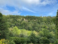 View from the property