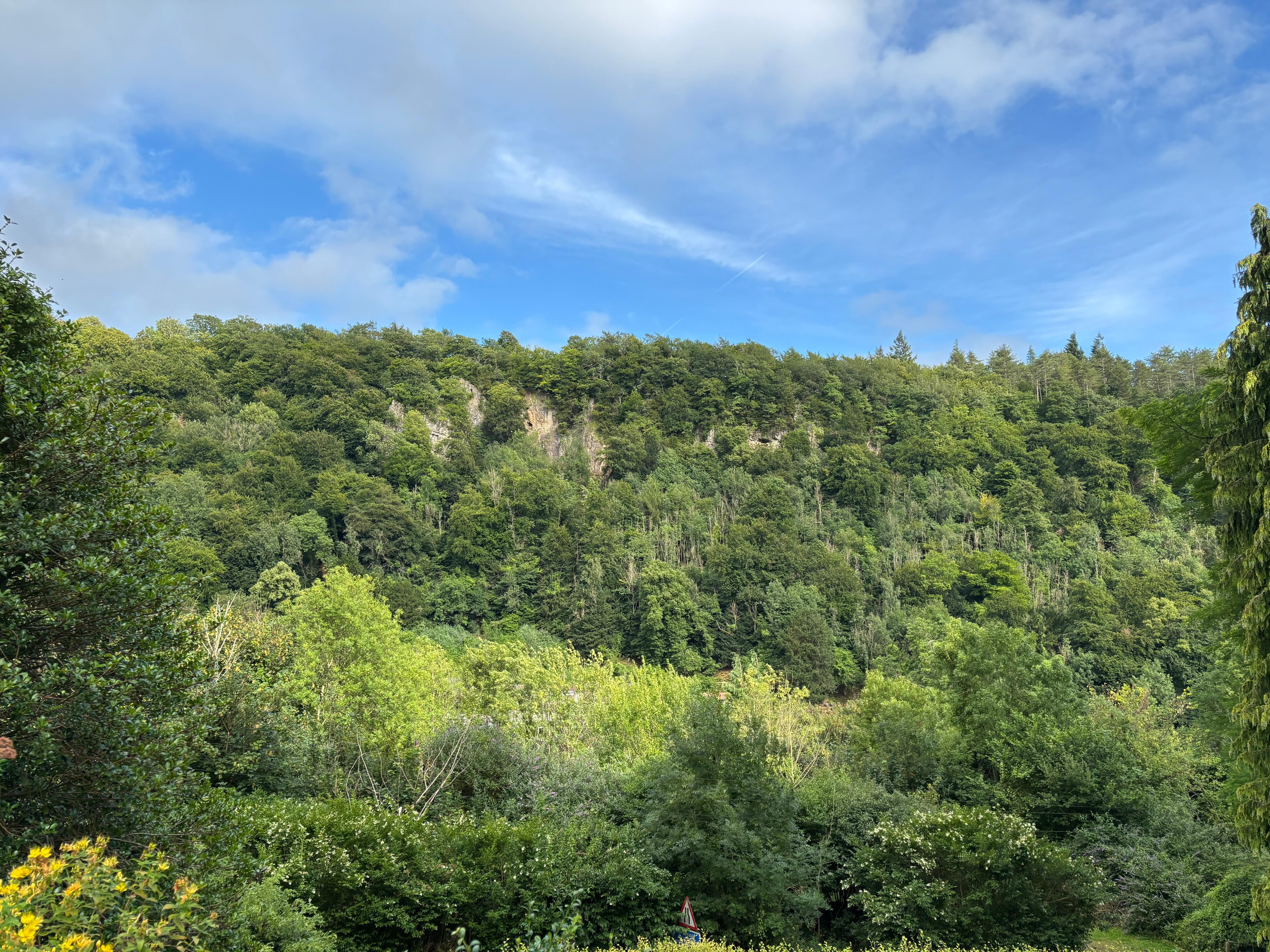 View from the property