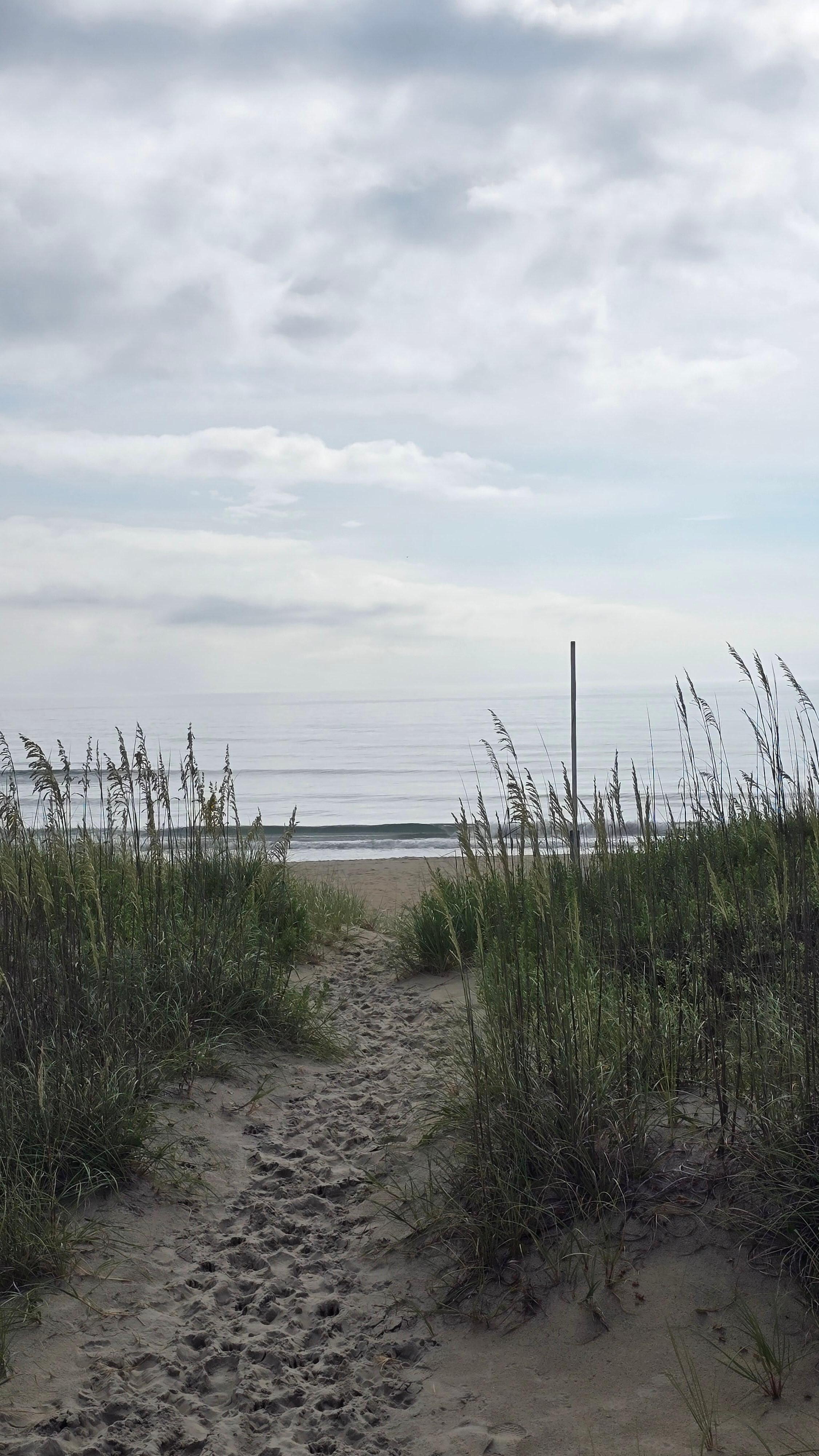 The walk over the dune to watch the sunrise.