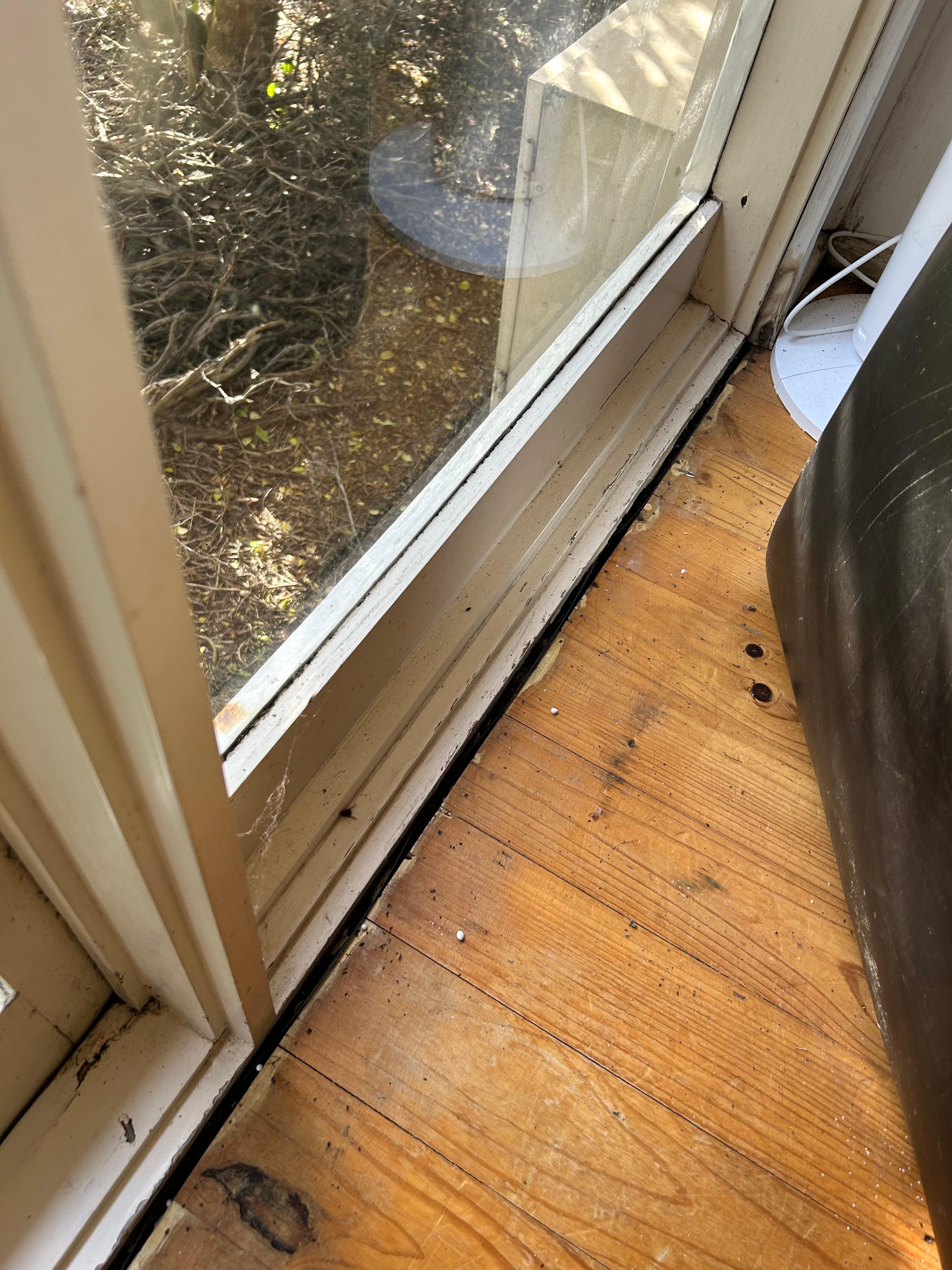 Ants, dirt and glass on the floor 